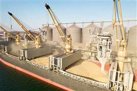 ODESSA, UKRAINE - August 9, 2021: Loading grain into holds of sea cargo vessel through an automatic line in seaport from silos of grain storage. Bunkering of dry cargo ship with grain.