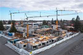 self erecting Liebherr tower cranes all pointing the same way