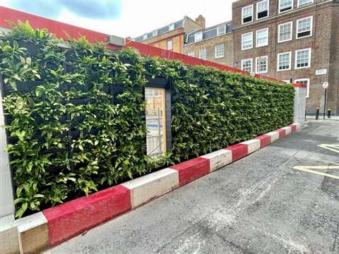 Biotecture 'living hoarding', London