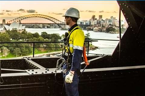 Liberty safety web