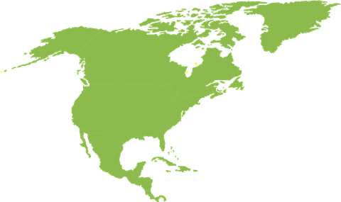 North America